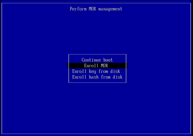 Zápis do Secure Boot.